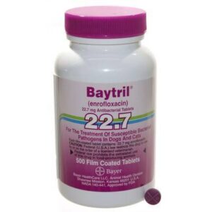 Baytril Antibacterial Tablets for Dogs and Cats Order Baytril Tablets Online | Premium Pet Health Products for Dogs and Cats