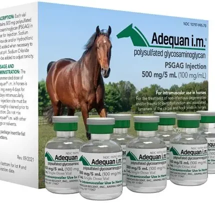 Buy Adequan I.M. Online | Equine Joint Health & Mobility Support | Global Vets Care