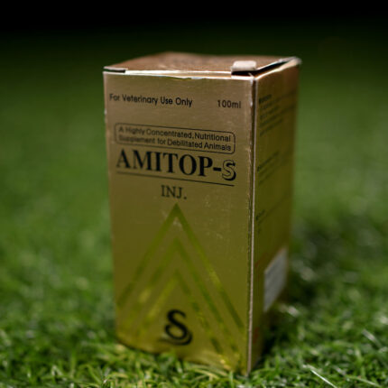 Buy Amitop-S Online | Premium Equine Amino Acid & Nutritional Support | Global Vets Care