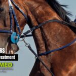 Buy Equine Ulcer Treatment Online