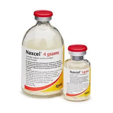 Naxcel For Goats Buy Naxcel for Goats Online - Trusted Goat Healthcare Solution
