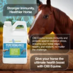 Buy Performance Supplements