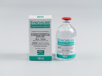 Synchsure Injection for Beef and Dairy Cattle Buy Synchsure Injection Online – Trusted Reproductive Management Support for Livestock