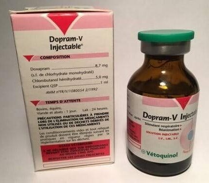 DOPRAM-V INJECTIONABLE