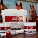 A professional lineup of Global Vet Care blood builder supplements and injectable iron solutions on a clean facility desk
