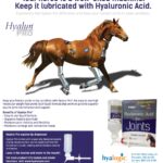 Premium horse hyaluronan supplements and targeted cartilage protective formulas engineered for professional equine performance