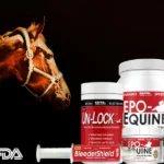 Premium horse performance powders and oral joint health pastes tailored for professional equestrian management