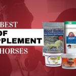 Premium equine hoof growth supplements and oral structural pastes optimized for professional farrier management - Equines Hoof Builder Supplements