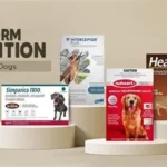 Heartworm Prevention Medicines For Animals