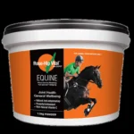 Premium equine performance powders and oral joint health pastes tailored for professional equestrian management