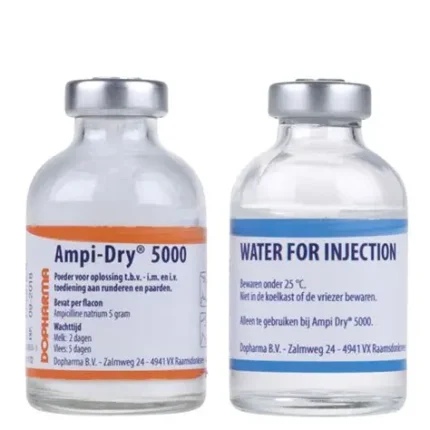 Buy Ampi-dry 5000 Online | Global Vets Care
