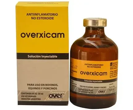 Overxicam 50ml for Sale | Buy Veterinary Anti-Inflammatory Injection | Global Vet Care