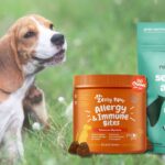 Order Pet Allergy Relief Supplements Online