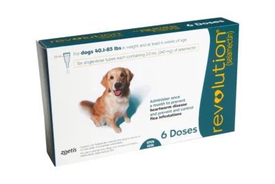 Order Revolution for Dogs Online - Premium Canine Care Solution