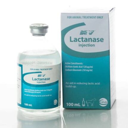 Buy Lactanase Injection 100ml Online
