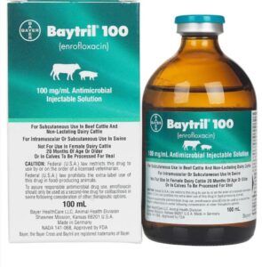 Baytril 100 Antimicrobial for Cattle and Swine Order Baytril 100 Online | Trusted Livestock Veterinary Product
