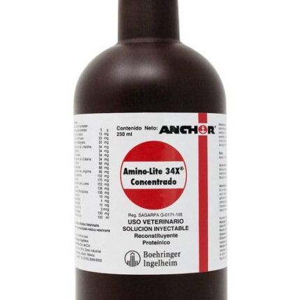 Buy Alginort Gel Online - Premium Equine Digestive Support Gel