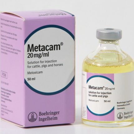 Metacam for Sale | Meloxicam Oral Suspension & Injection | Global Vet Care