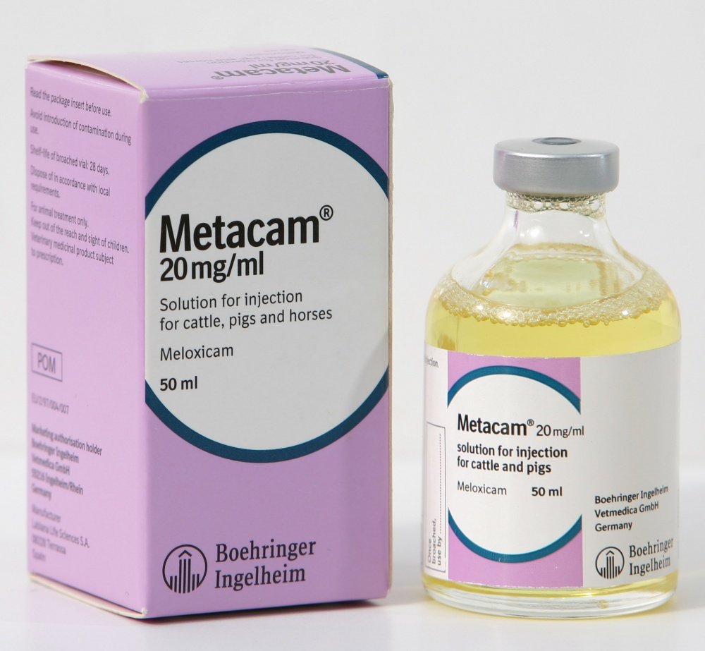 Metacam for Sale | Meloxicam Oral Suspension & Injection | Global Vet Care Metacam for Sale | Meloxicam Oral Suspension & Injection | Global Vet Care