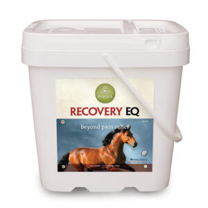 Buy Recovery EQ Powder 5kg Online, Horse Supplies, Horses, All For Pets