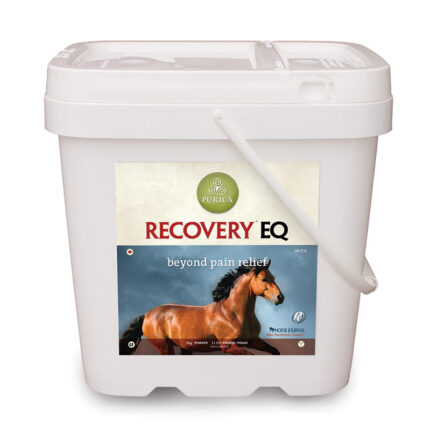 Buy Recovery EQ Powder 5kg Online, Horse Supplies, Horses, All For Pets