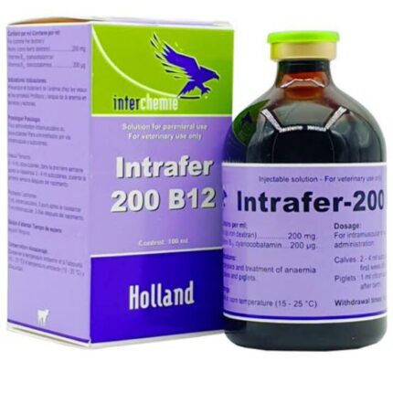Buy Intrafer-200 B12 Injection Online | Global Vet Care