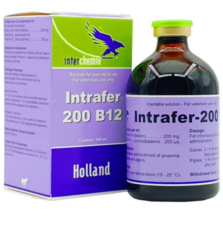 Intrafer-200 B12 Buy Intrafer-200 B12 Injection Online | Global Vet Care