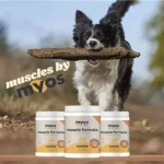 Veterinary Muscle Building Supplements