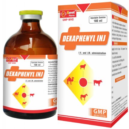 Buy Dexaphenyl Inj 100ml Online | Premium Veterinary Injectable Solution | Global Vet Care
