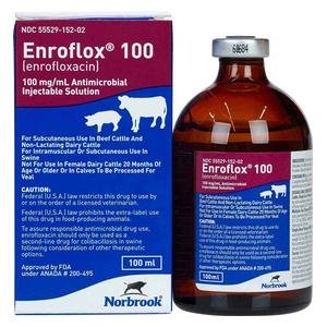 Enroflox 100 for Beef Cattle, Non-Lactating Dairy Cattle and Swine
