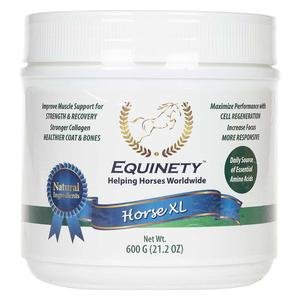 Equinety Horse XL