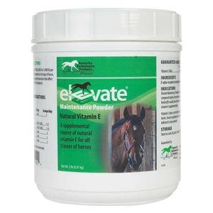 Elevate Maintenance Powder for Horses