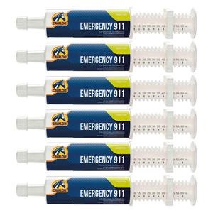 Emergency 911 Paste for Horses