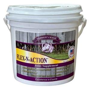 Flex-N-Action for Horses