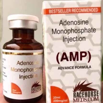 adenosine monophosphate injection AMP