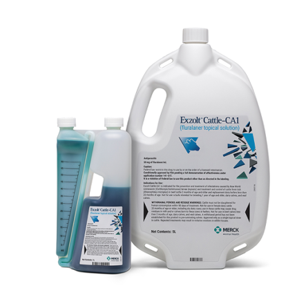 Shop Exzolt Cattle-CA1 Pour-On for Beef and Dairy Cattle Online