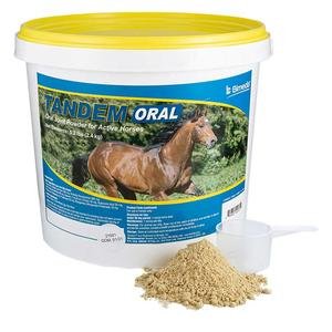 Tandem Oral Joint Supplement for Horses