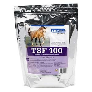 TSF 100 Thyroid Stimulating Factors for Horses