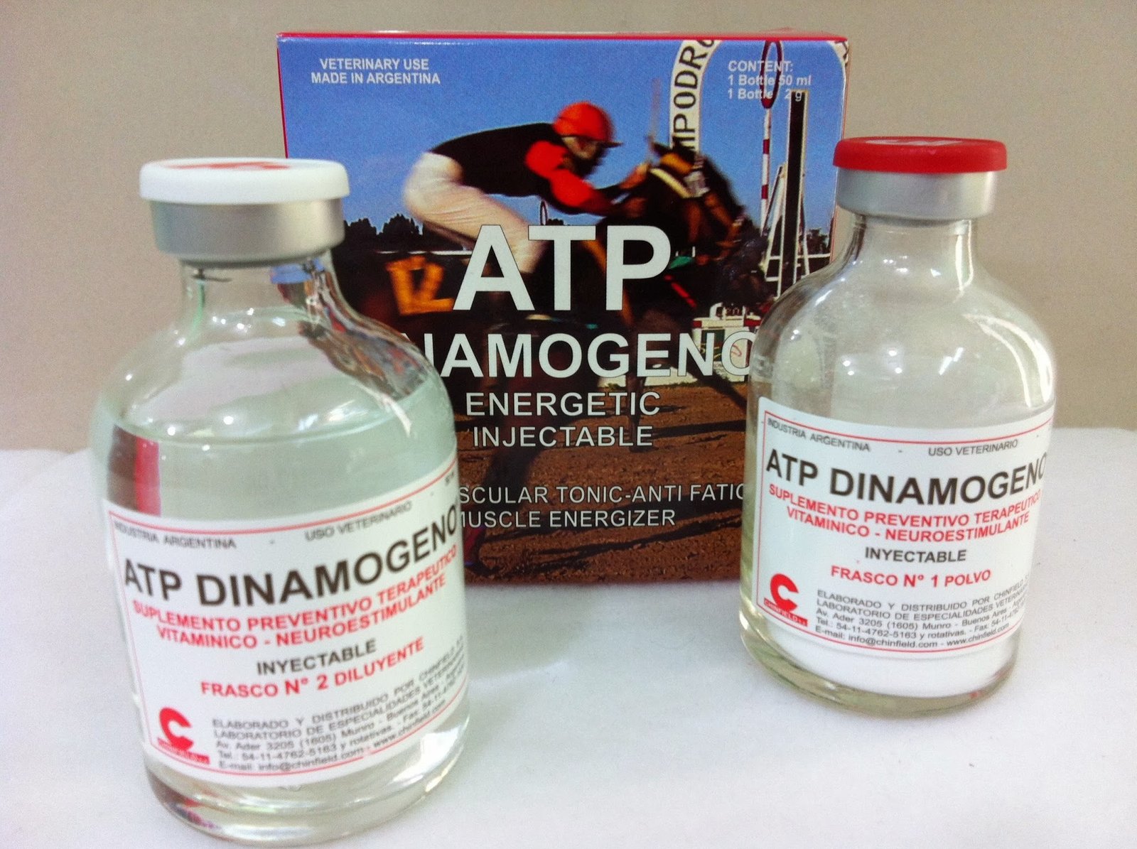 utp-dinamogeno.jpg