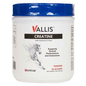 Vallis Creatine
