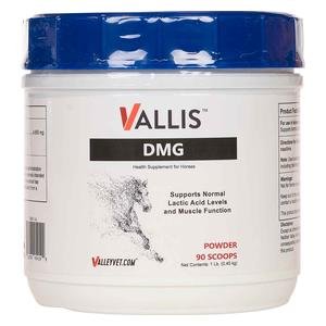 Vallis DMG