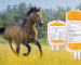 Order PlasmaLife Online | Trusted Animal Wellness Support | Global Vet Care