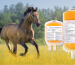 Order PlasmaLife Online | Trusted Animal Wellness Support | Global Vet Care